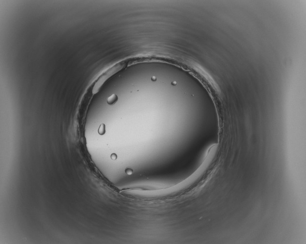 X0000110980876200906261427