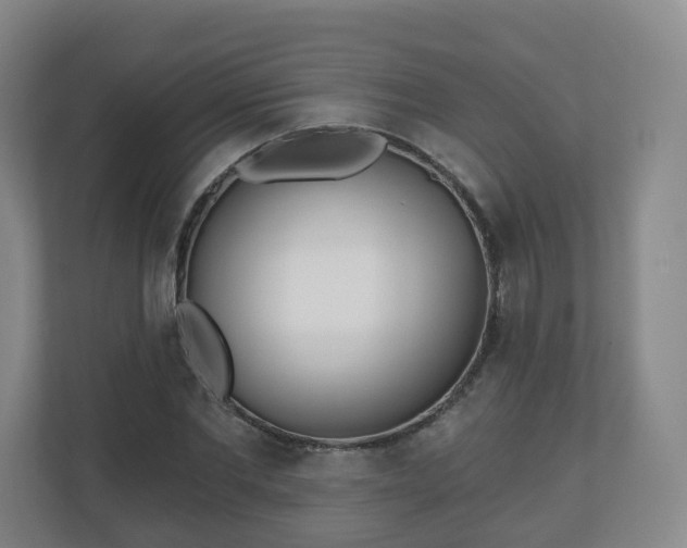 X0000110980877200906261427