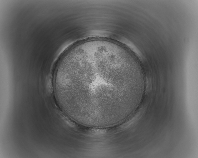 X0000110980878200906261427