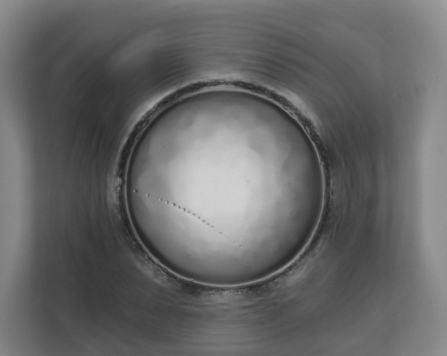 X0000110980879200906261427