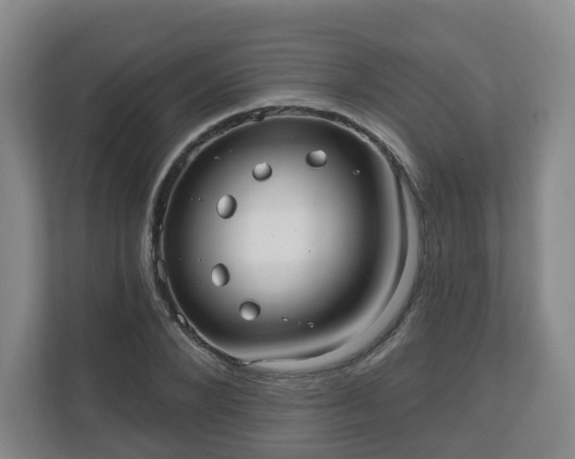 X0000110980880200906261427