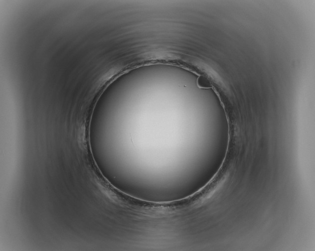 X0000110980881200906261427