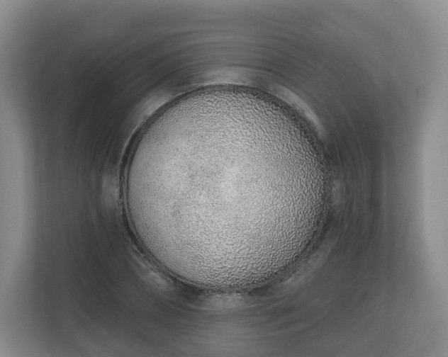 X0000110980882200906261427