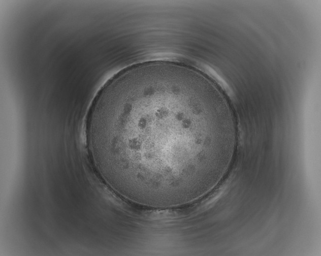 X0000110980883200906261427