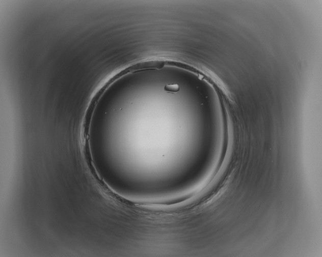 X0000110980885200906261427