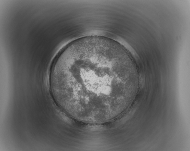 X0000110980886200906261427