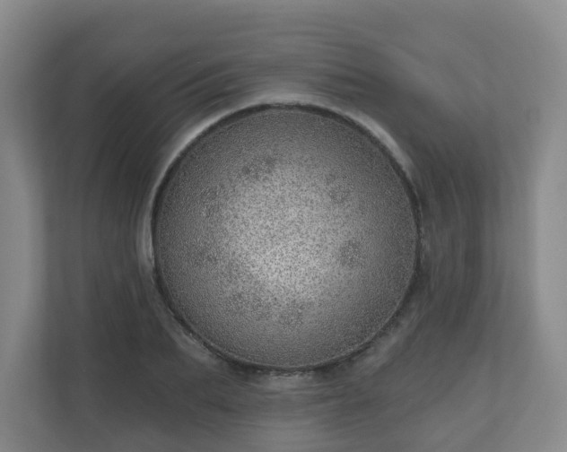 X0000110980887200906261427