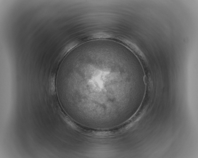 X0000110980889200906261427