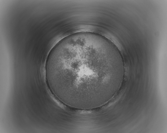 X0000110980890200906261427