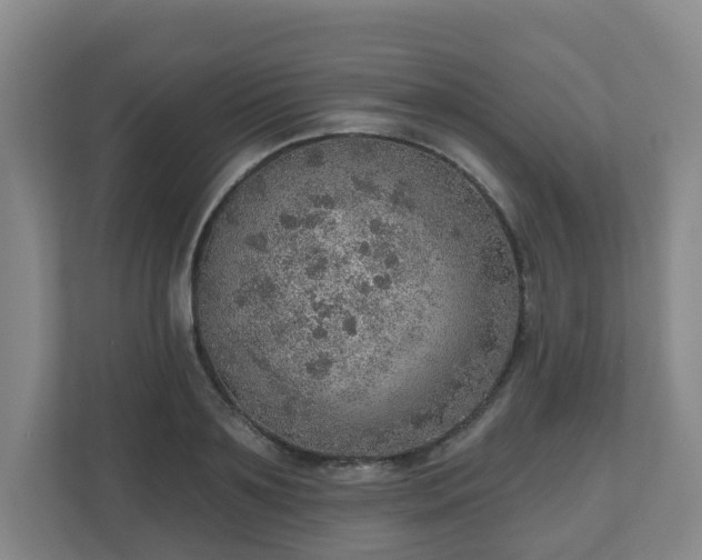 X0000110980891200906261427