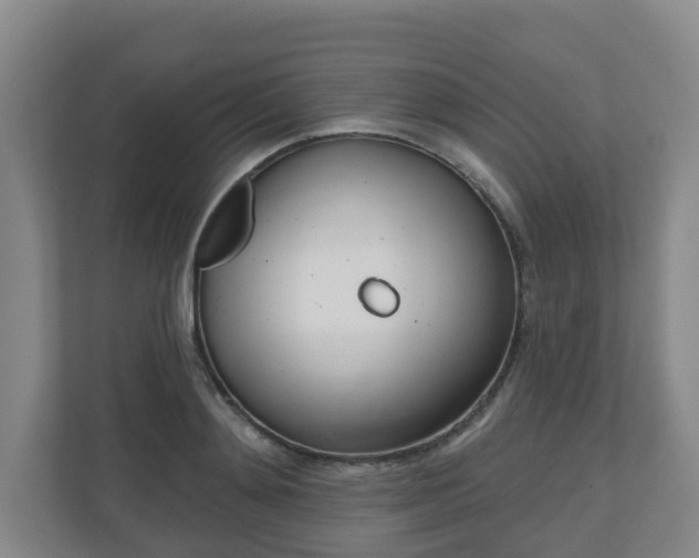 X0000110980892200906261427