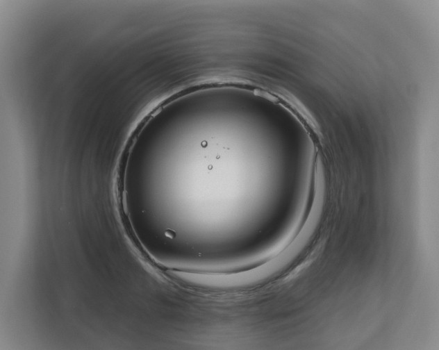 X0000110980893200906261427