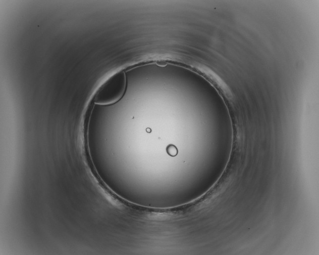 X0000110980894200906261427