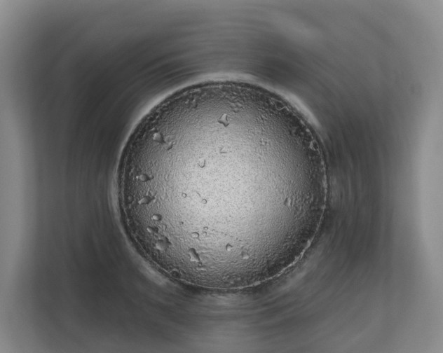 X0000110980895200906261427