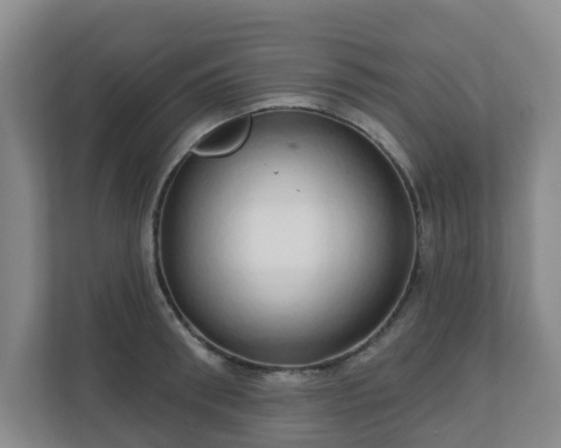 X0000110980898200906261427