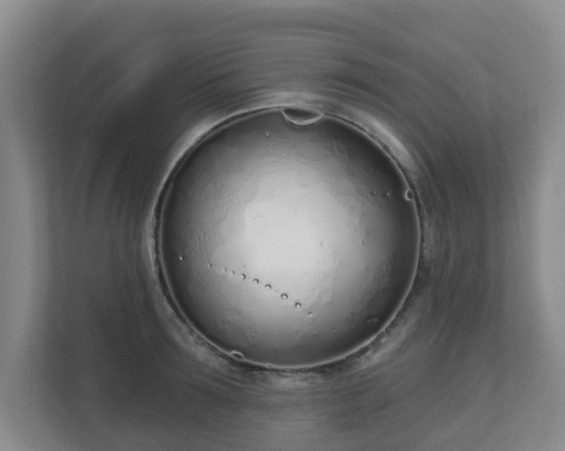 X0000110980899200906261427