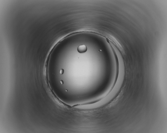 X0000110980900200906261427