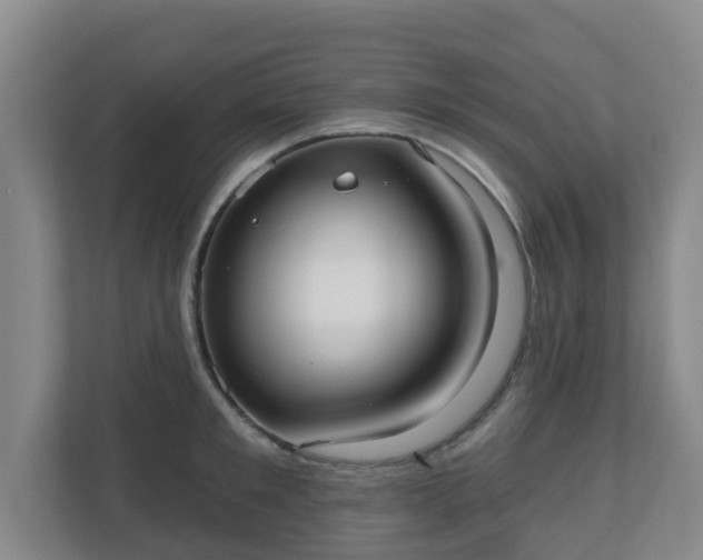 X0000110980901200906261427