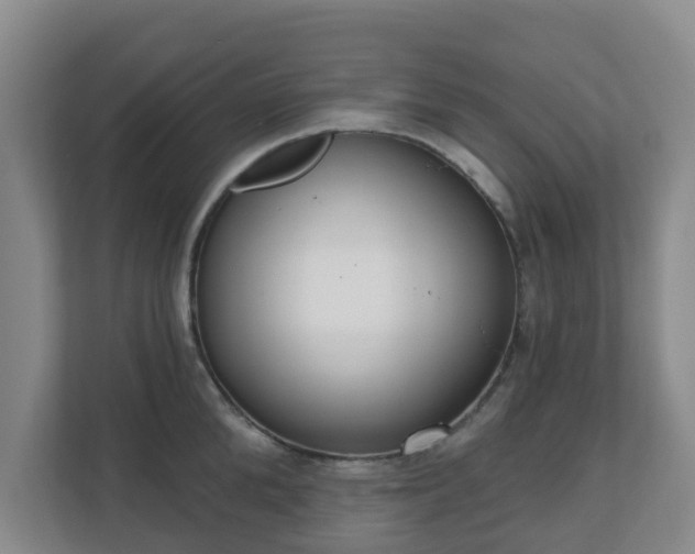 X0000110980904200906261427