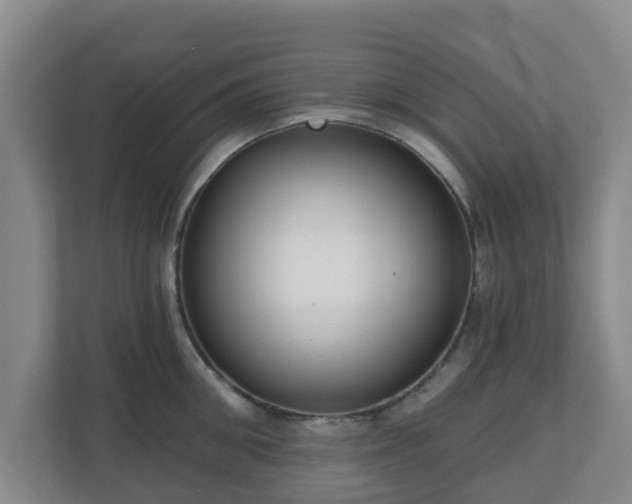 X0000110980906200906261427