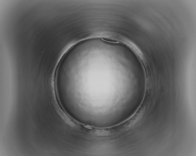 X0000110980907200906261427