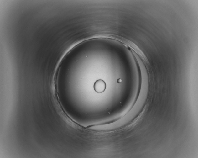 X0000110980908200906261427