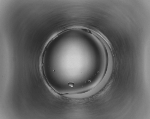 X0000110980909200906261427