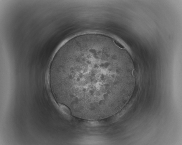 X0000110980911200906261427