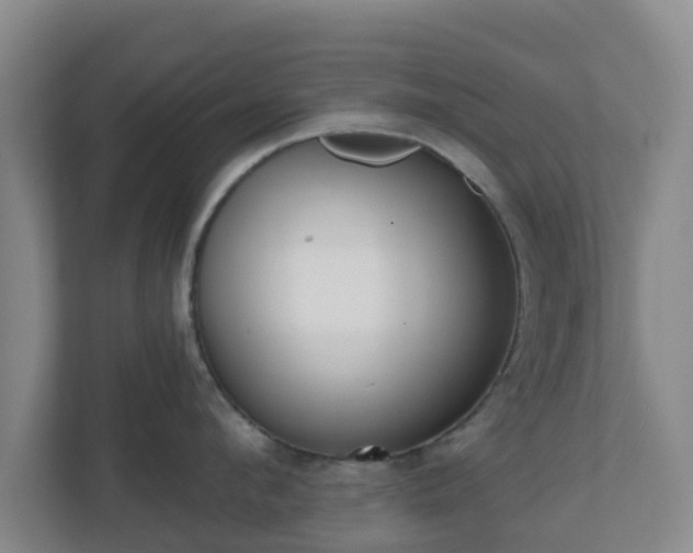 X0000110980912200906261427