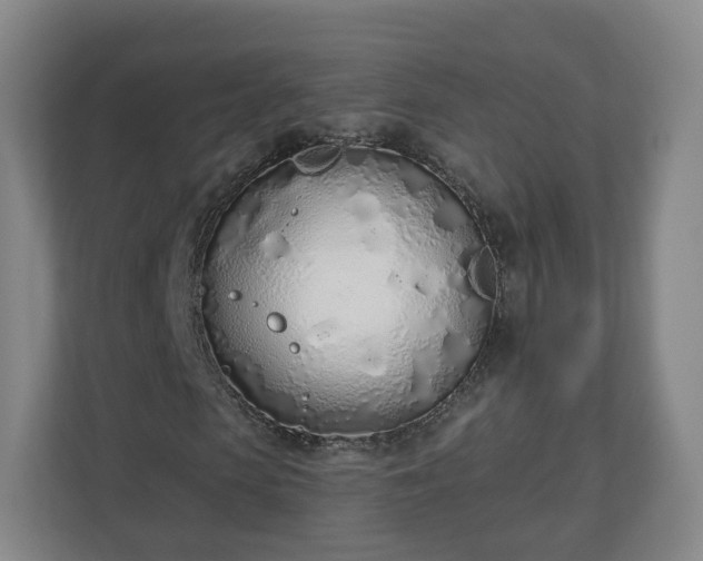 X0000110980913200906261426