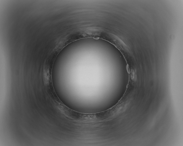 X0000110980915200906261426