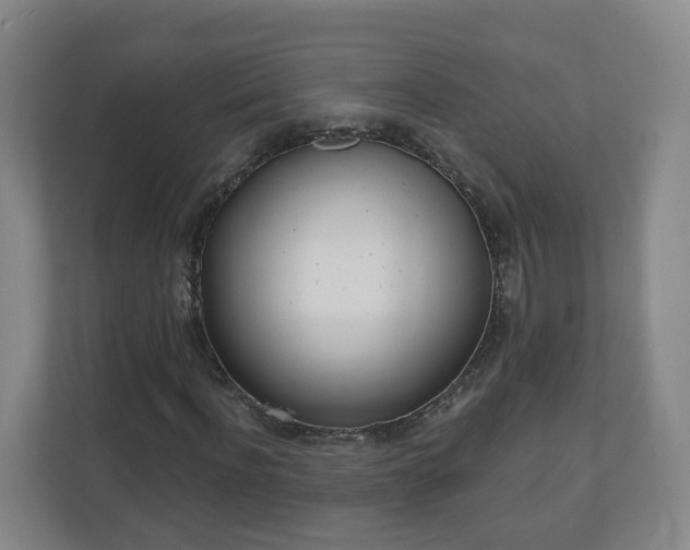 X0000110980916200906261426