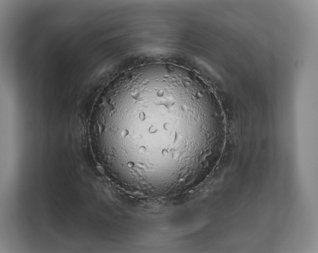 X0000110980917200906261426