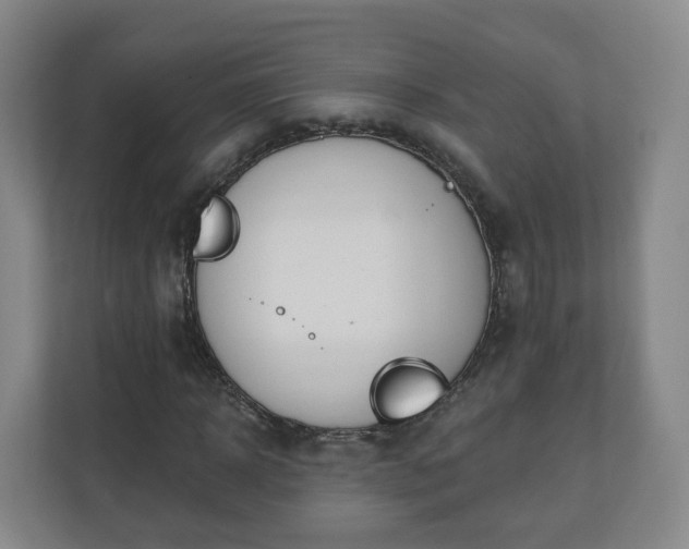 X0000110980918200906261426