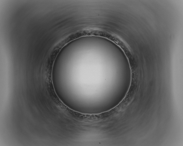 X0000110980919200906261426