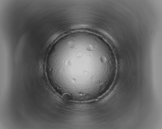 X0000110980921200906261426