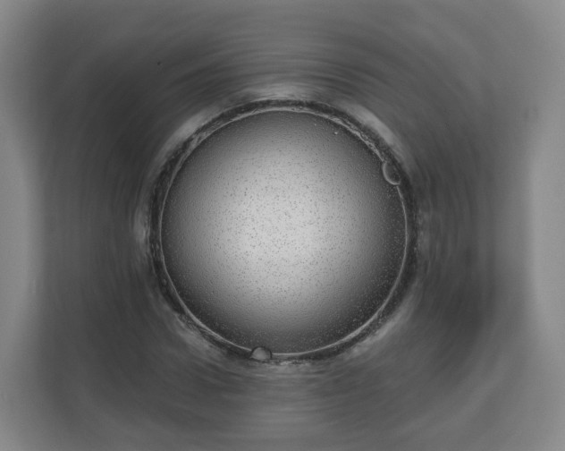 X0000110980922200906261426