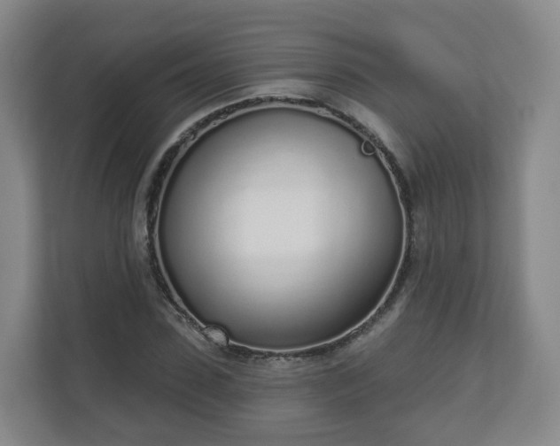 X0000110980923200906261426