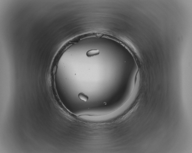 X0000110980924200906261426