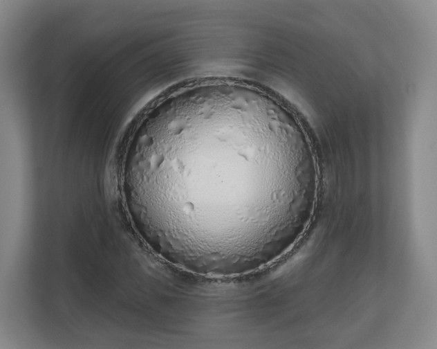 X0000110980925200906261426