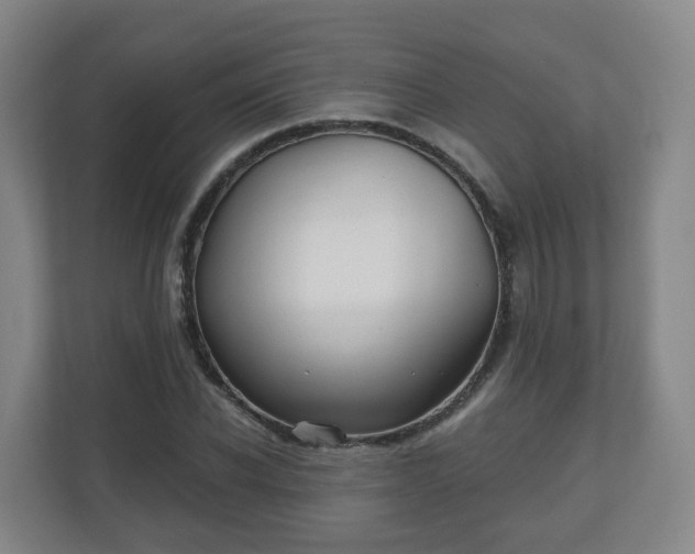 X0000110980926200906261426