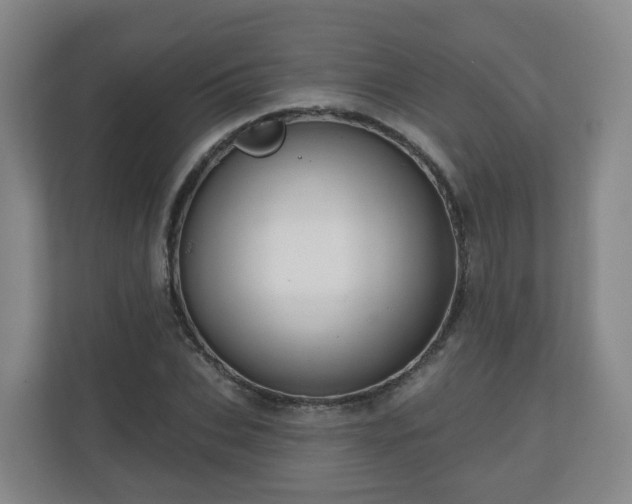 X0000110980927200906261426