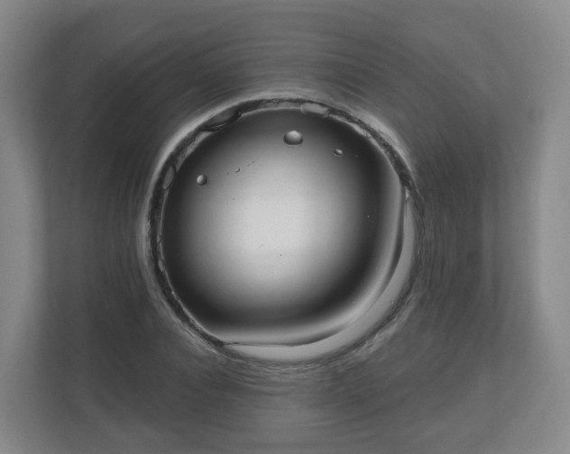 X0000110980928200906261426