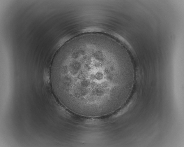 X0000110980929200906261426