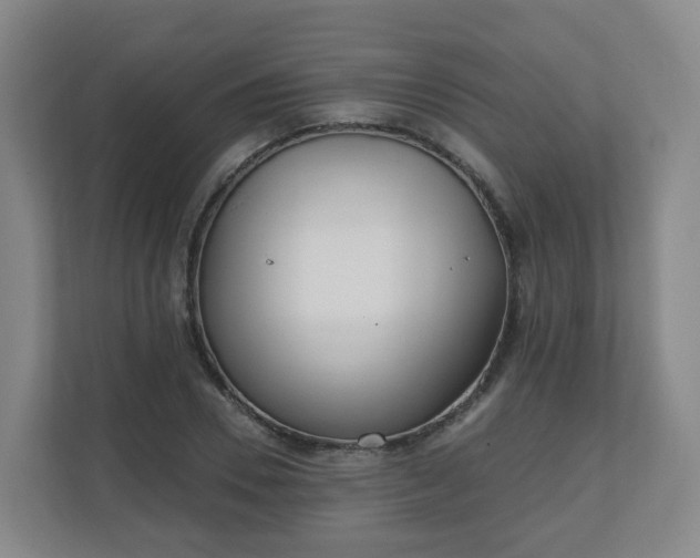 X0000110980930200906261426