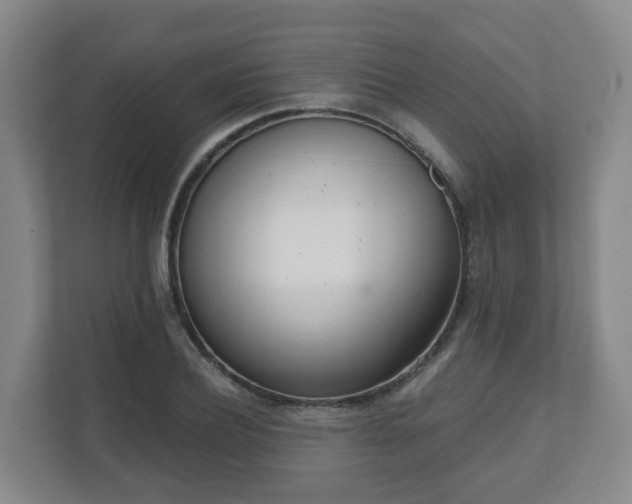 X0000110980932200906261426