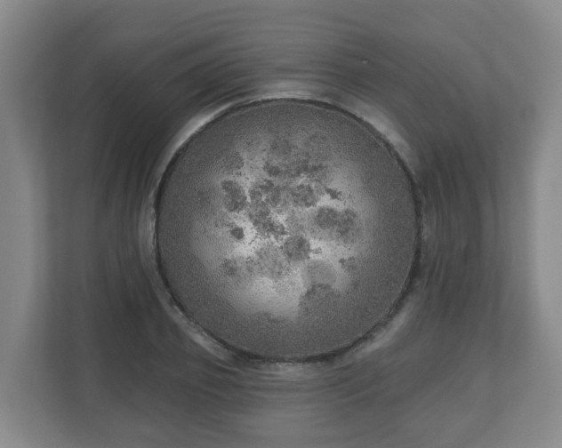 X0000110980933200906261426