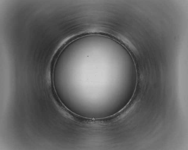 X0000110980934200906261426