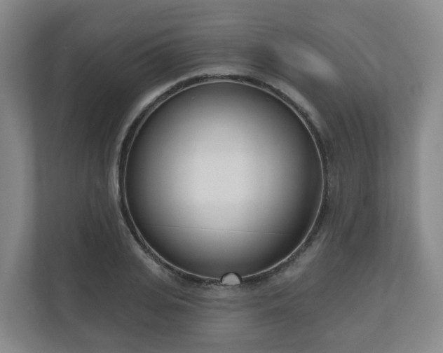 X0000110980935200906261426