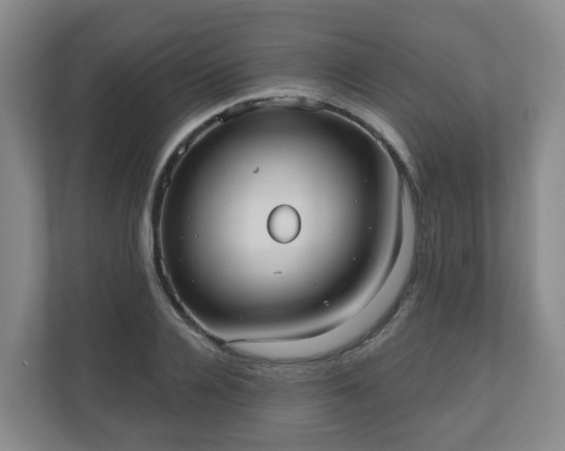 X0000110980936200906261426